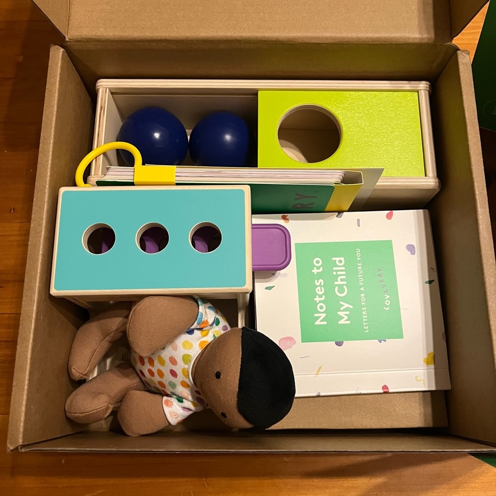 Lovevery 11-12 month play kit